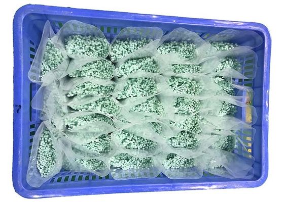 comprar ALCANCE el verde leve las bridas de plástico de nylon de 120 grados 2.5m m online manufacture